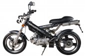 2008 Sachs MadAss 125 photo